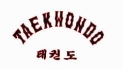 Dae Do TA-1047 Taekwondo Elbisesi