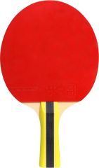 Cornilleau Sport 400 ITTF Onaylı Masa Tenisi Raketi